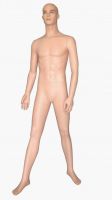 Sell realistic male mannequins