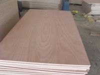 Sell  plywood of china