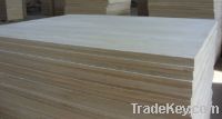 Sell paulownia edge glued board