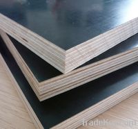 Sell Melamine  Faced Plywood