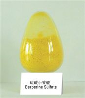 Sell Berberine Sulfate  98%