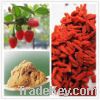 Wolfberry extract