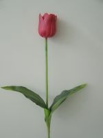 Sell real touch flower-red tulip spary