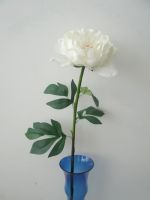 Sell real touch flower-white peony spary