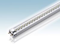 LED Tube Light T8(30mm) 8W
