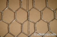 Electro Galvanized Chicken wire mesh