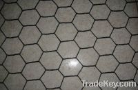 Pvc coated Chicken wire mesh