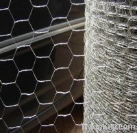 Factory price Galvanized Chicken wire mesh