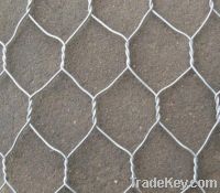 Hot dipped galvanized after weaving Chicken wire mesh