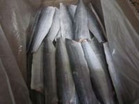 Sell IQF wild Japanese Spanish Mackerel fillets