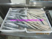 Sell fish fillet-spanish mackerel
