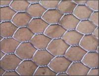 Sell Hexagonal Wire Mesh/Netting/Gabion Mesh Box