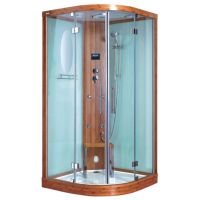 Sell steam room S013