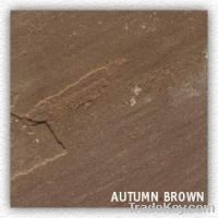 Autumn Brown Sandstone