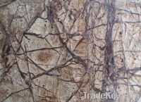 Antique Brown Forest Marble