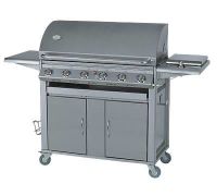 Sell gas bbqs (6 burners)