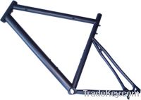 Titanium bicycle Triathlon Frames