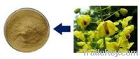 Sell Cassia Nomame Extract