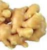 Sell  chinese fresh ginger