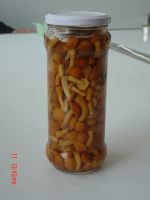 Sell canned suillus(marinated or in brine)