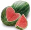 Sell  Watermelon