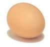 Sell Egg shell membrane powder