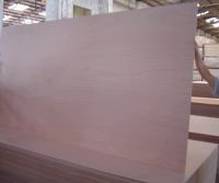 Sell commercial plywood and okoume plywood