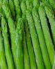 Sell Frozen Asparagus 2011 Cropped