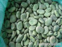 Sell Frozen Fava Beans