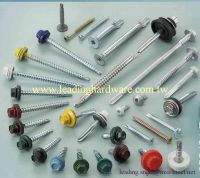 self drilling screw, roofing screw, windown screw, tek point screw