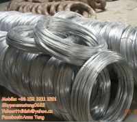 galvanized iron wire, iron wire, zinc coated wire