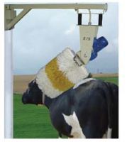 EYS Cow Brush for farms