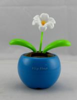 Sell Solar shakes flowers--morning glory model