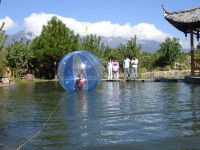 Sell 2011 hot Inflatable water ball/water walking ball