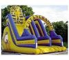 2011 Hot Inflatable Slide (Water Slide)