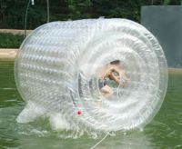 2011 Hot Inflatable Roller Ball
