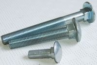 Sell Carriage Bolts DIN603