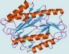 Glycerokinase