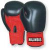 Boxing Glove of different variety