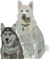 Reliable Quality And Professional Embroidery Digitizing Services