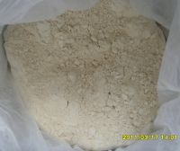 garlic powder supplier