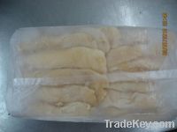 100% CLEANED FROZEN WARM WATER CONCH MEAT