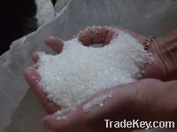 Sell Refined White Sugar