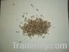 Sell LDPE Repro Pellets