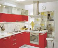 kitchen cabinet  RL-L105