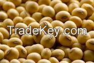 Soybeans