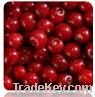 Sell Frozen Sour Cherry