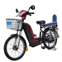Electric Bike (TDL978EZ)
