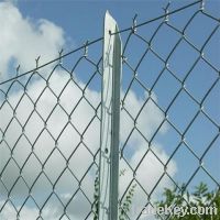 Sell galvanized or PVC coated chain link fence