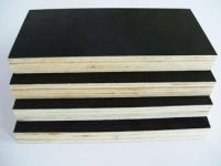 Sell   film faced plywood